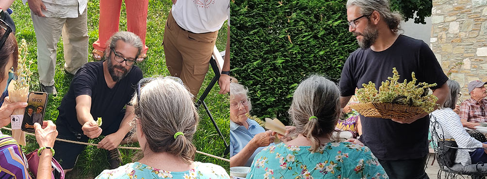 A guided herbal walk and tea ritual in Pelion led by botanist Manolis Manos. Participants learn about local herbs and traditional medicinal uses in a hands-on, nature-based experience.