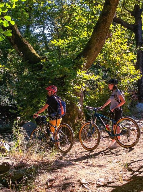 Cyclists enjoying a nature trail surrounded by lush greenery in Pelion with Pelion-villas.com.