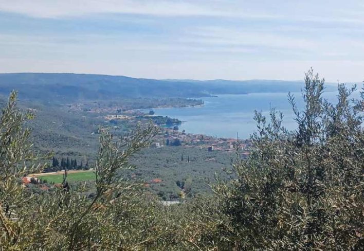 panoramiki-thea-pelion-villas-com Πανοραμική θέα του Πηλίου με ελαιώνα και τη θάλασσα στο βάθος.
