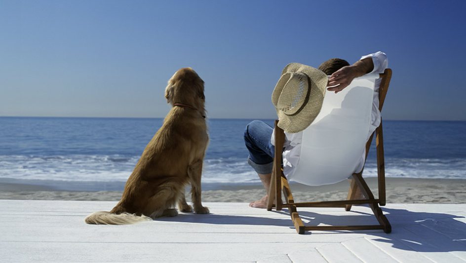 Man relaxing in a deckchair on the beach with his dog sitting beside him