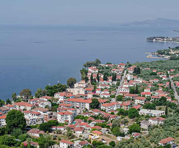 Aerial view of a coastal village in Pelion with red-roof houses, olive trees, and the calm sea of Pagasetic Gulf in the background.