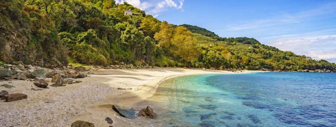 xrysi-ammos-pelion-villas Παραλία με χρυσή άμμο και πλούσια βλάστηση στο Πήλιο, Ελλάδα, από το Pelion-villas.com.