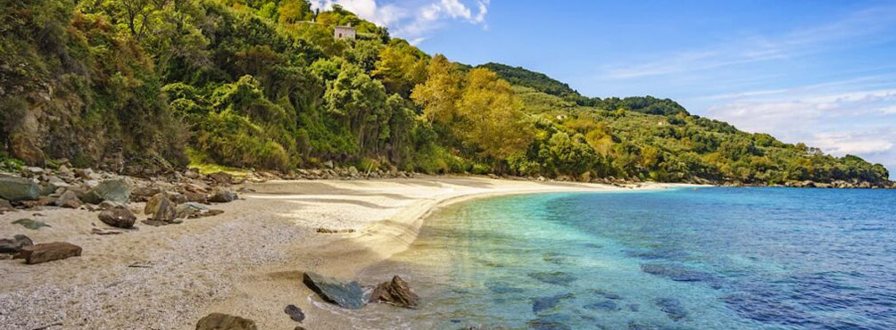 xrysi-ammos-pelion-villas A golden sand beach surrounded by lush greenery in Pelion, Greece, Pelion-villas.com.