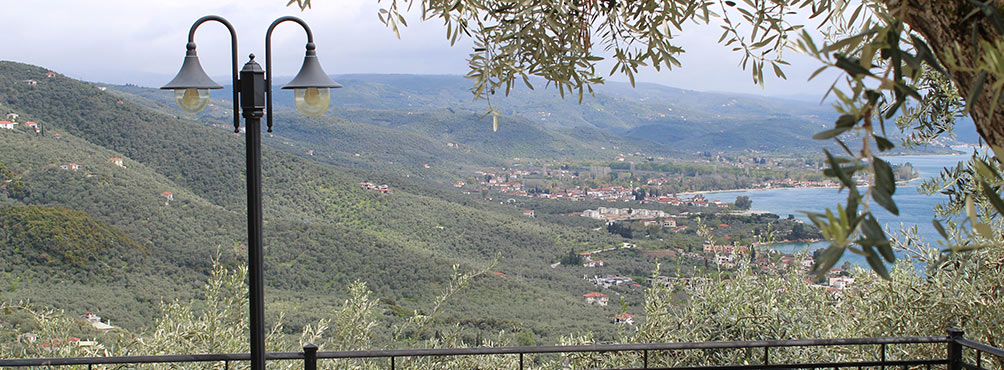 Panoramic view of Pelion’s olive groves and the sea, showcasing the authentic landscape and coastline of the Pagasetic Gulf. Ideal for nature retreats and cultural experiences.