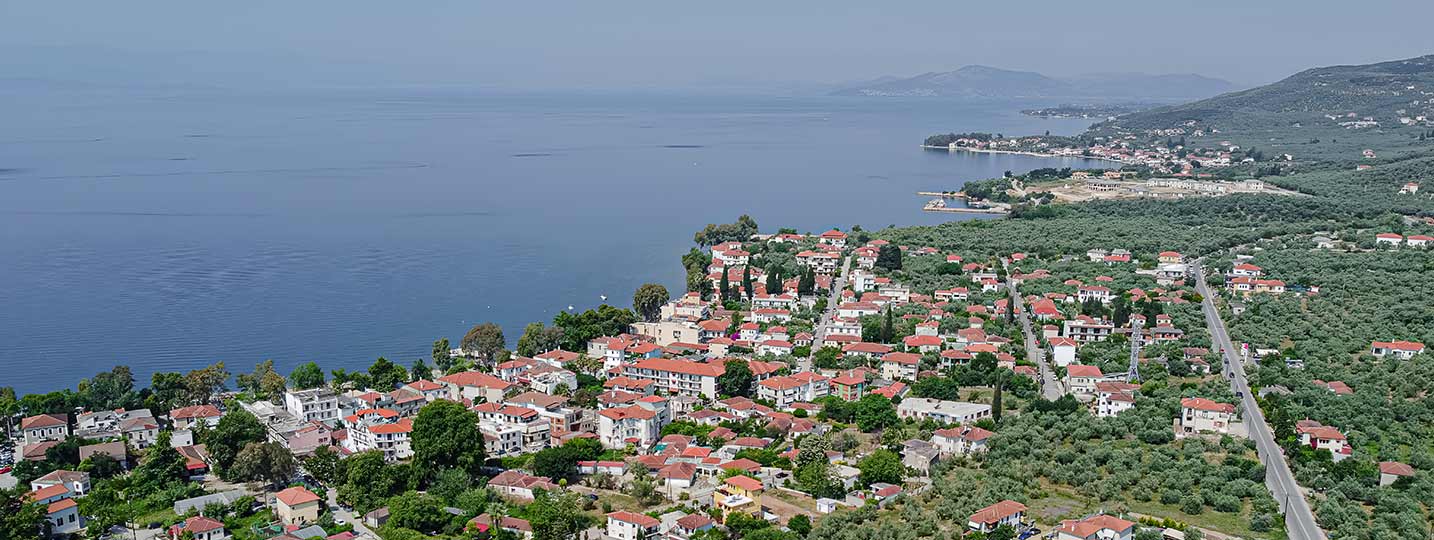 Aerial view of a coastal village in Pelion with red-roof houses, olive trees, and the calm sea of Pagasetic Gulf in the background.