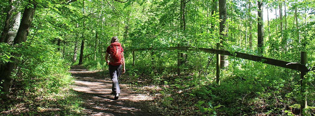 Πεζοπόρος περπατά σε δασικό μονοπάτι στο Πήλιο μέσα στη φύση κοντά στις Pelion Esties