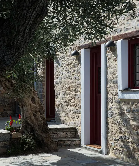 Traditional stone villa courtyard in Pelion with olive tree and garden entrance surrounded by natural landscape – Pelion Esties