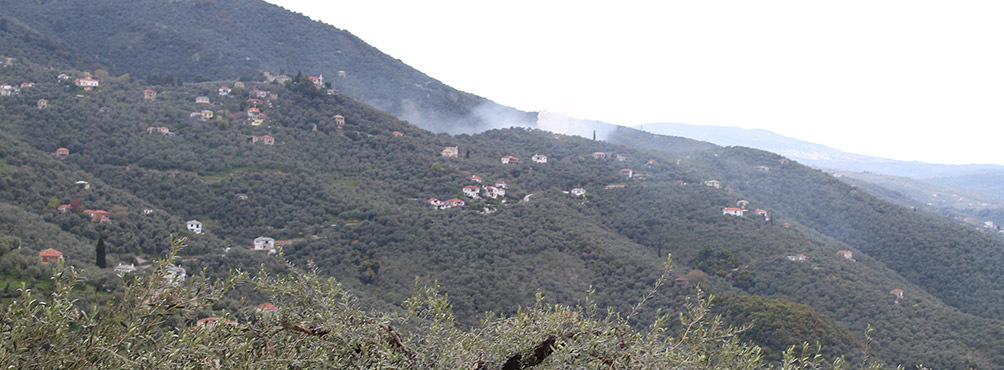 Θέα από παραδοσιακά χωριά του Πηλίου διασκορπισμένα σε λόφους γεμάτους ελαιώνες, που αποτυπώνει το αυθεντικό αγροτικό τοπίο της περιοχής.